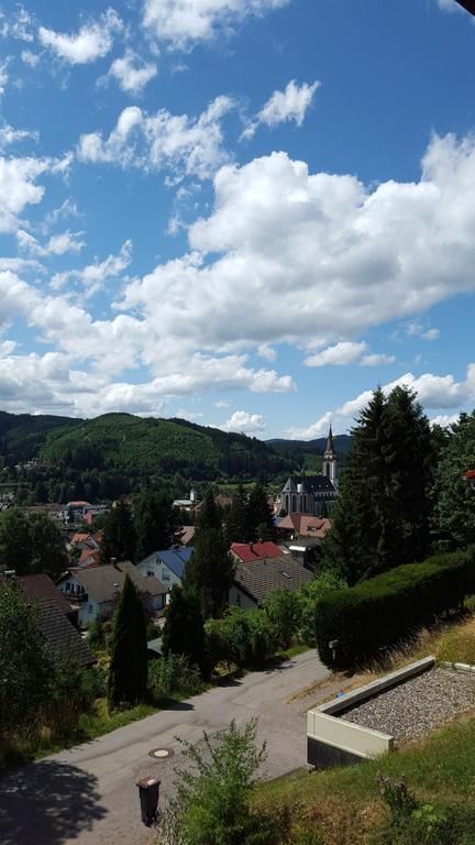 Hochschwarzwald Ferienwohnung Titisee-Neustadt Ngoại thất bức ảnh